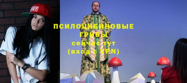 дживик Лихославль
