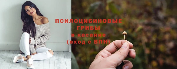 эйфоретик Лагань