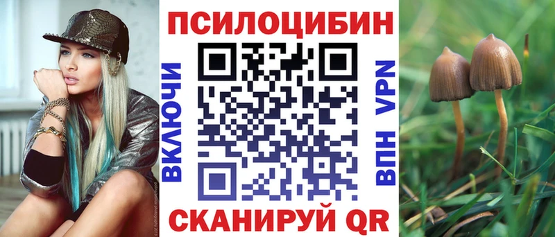 Псилоцибиновые грибы Magic Shrooms  Купить закладки  Котельнич 